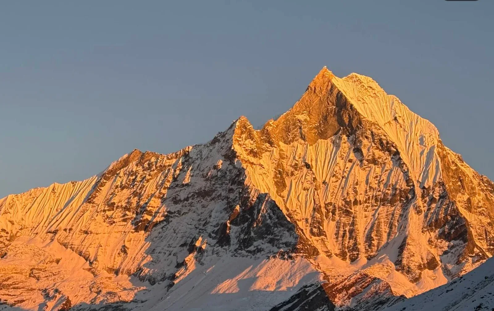 Info Nepal Treks and Expedition Pvt. Ltd. photo 1