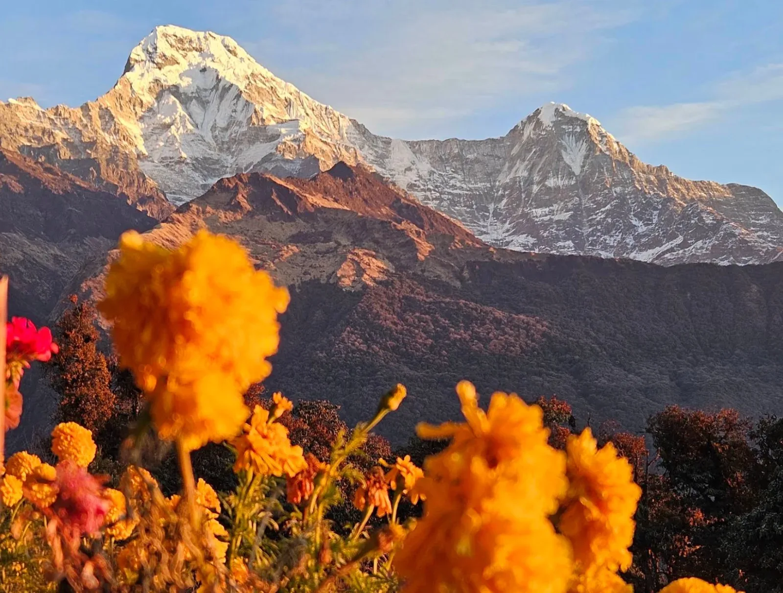 Nepal Wilderness Trekking Pvt. Ltd. photo 1