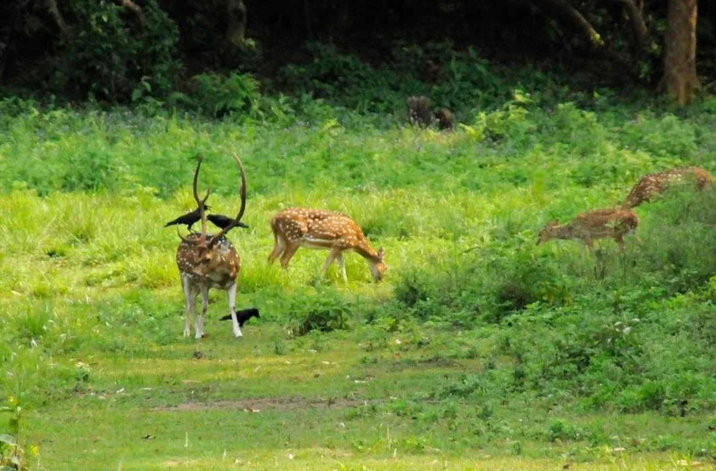 Nepalcome Treks and Tours Pvt. Ltd. photo 1